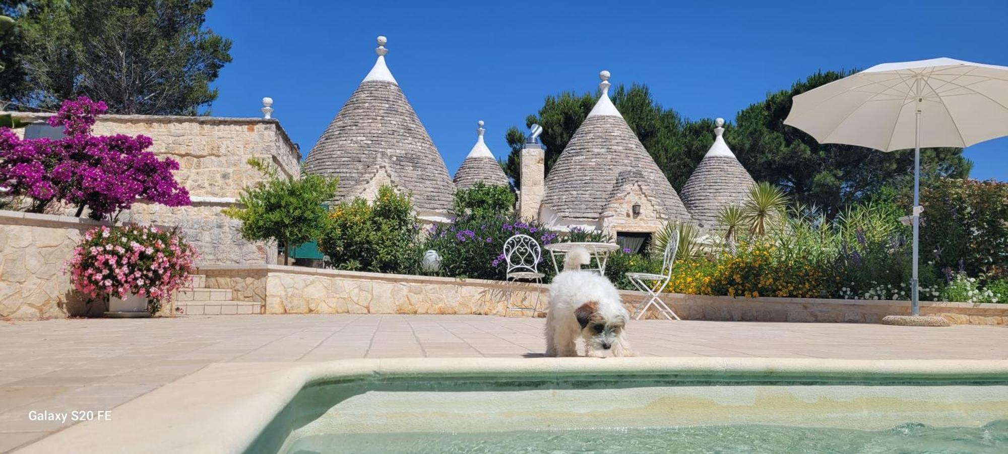 Villa Trullo Bosco Libero Ostuni Esterno foto