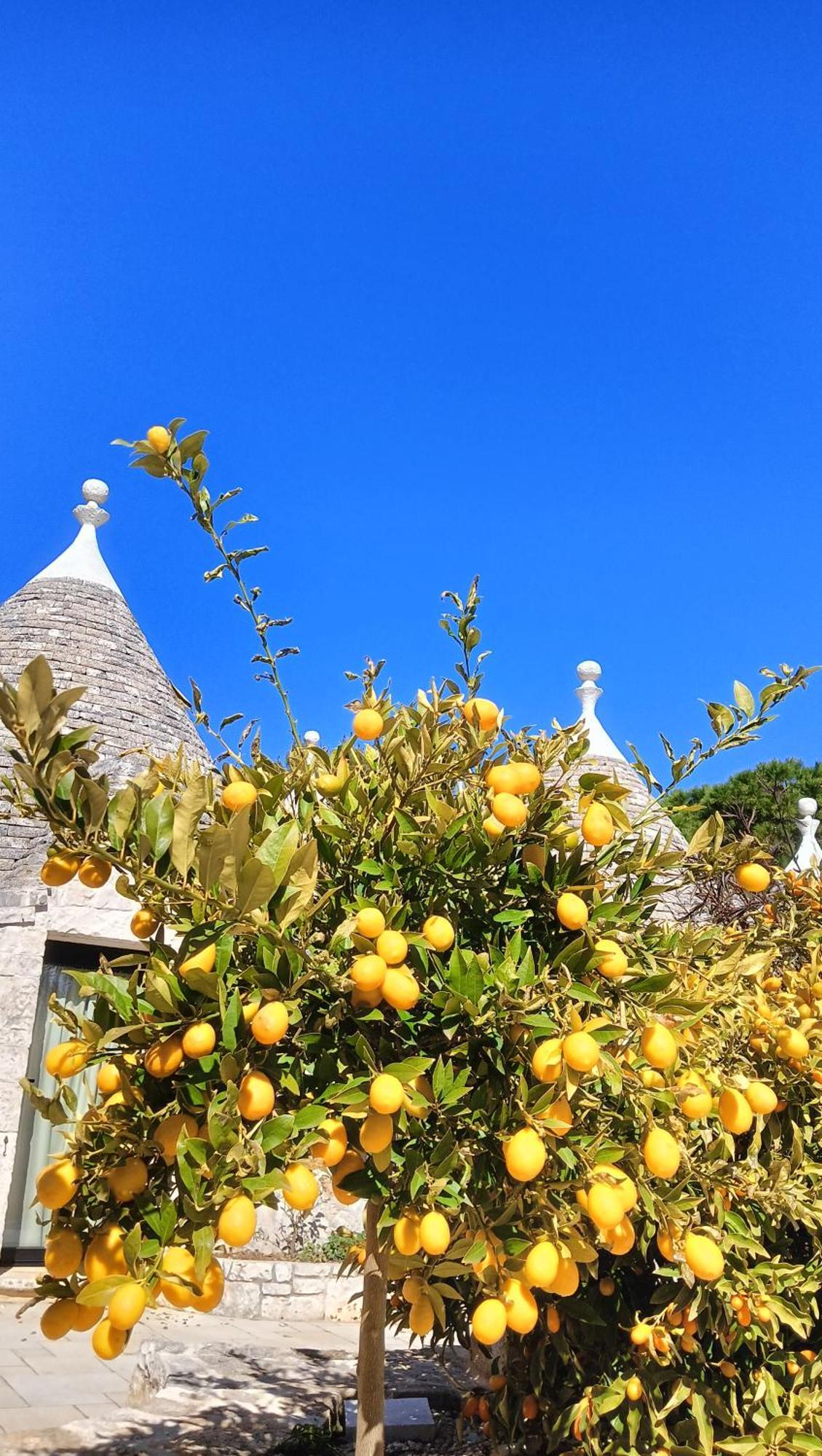 Villa Trullo Bosco Libero Ostuni Esterno foto