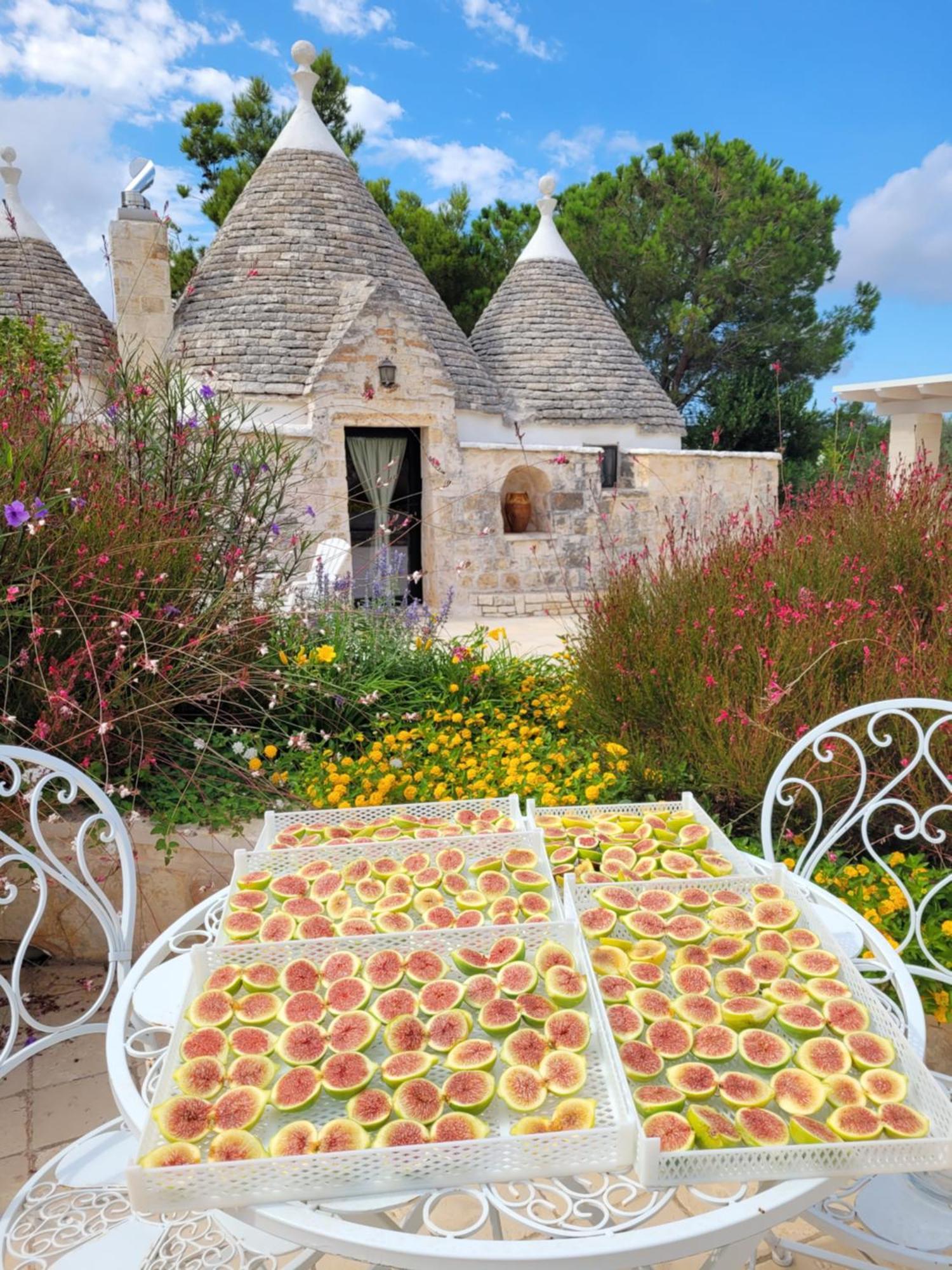 Villa Trullo Bosco Libero Ostuni Esterno foto