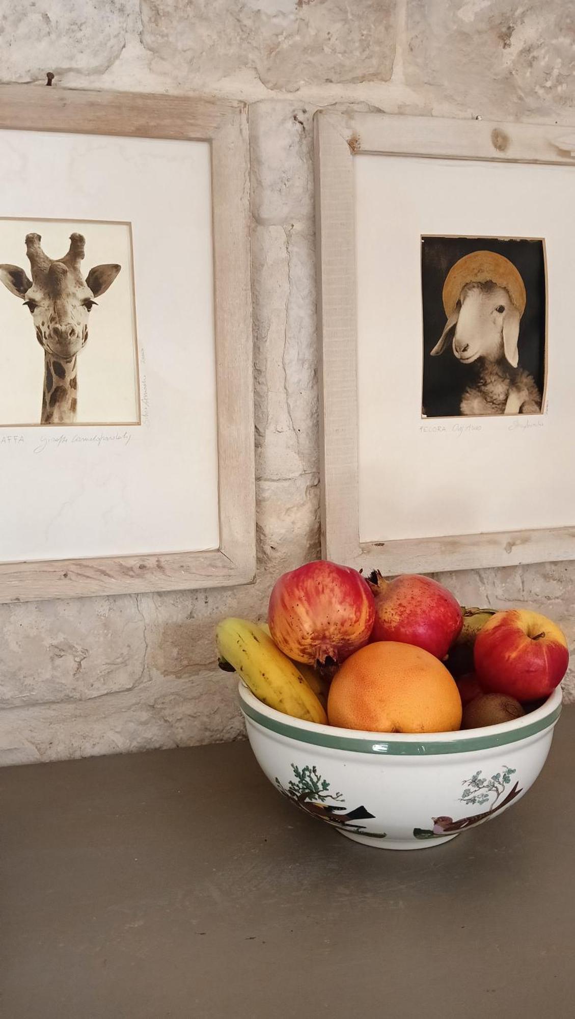 Villa Trullo Bosco Libero Ostuni Esterno foto